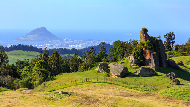 Looking down on Mount Maunganui, New Zealand. A panoramic view from the surrounding hills