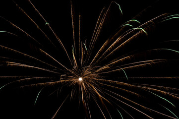Colorful festive fireworks in the night sky