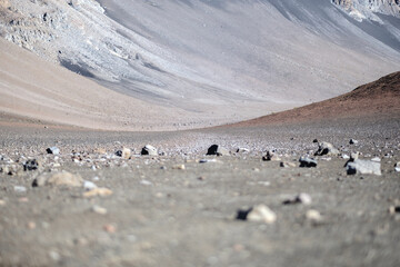 a group of penguins on a beach