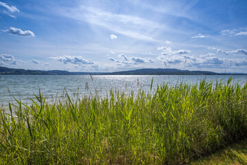 Malerische Uferszene mit hohem Gras und bizarren Wolken auf der Insel Reichenau am Bodensee