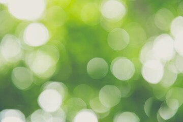 Fototapeta premium Green bokeh background,wallpaper