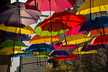umbrella colours