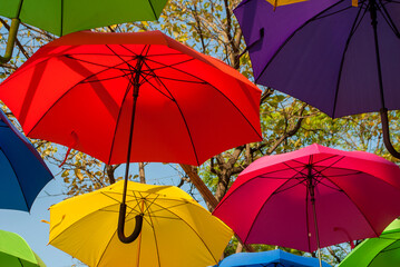 umbrella colours