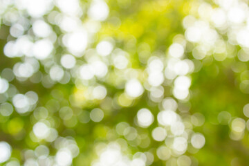 Green bokeh background