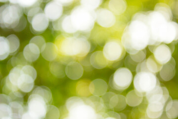 Obraz premium Green bokeh background