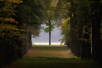 Parc de Versailles