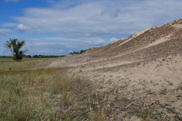 Sanddüne, Düne bw. Binnenwanderdüne Klein Schmölen in Dömitz im Biosphärenreservat Elbe in Mecklenburg-Vorpommern