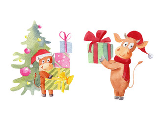 Watercolor illustration set of bulls symbol of the new 2021 congratulates on the holiday