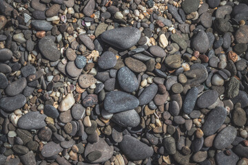 Pebble beach background, pebble stones texture