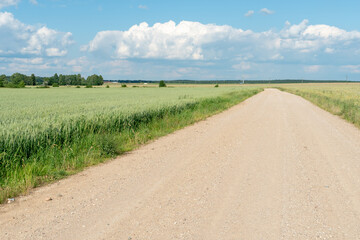 Empty dirt road through the fields. Fluffy clouds on a warm summer Sunny day over a field of wheat. Pure nature away from the big city. Eco tourism.