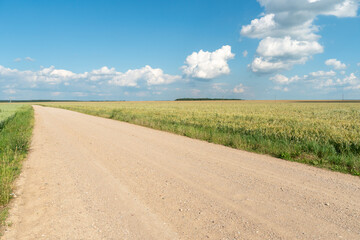 Empty dirt road through the fields. Fluffy clouds on a warm summer Sunny day over a field of wheat. Pure nature away from the big city. Eco tourism.