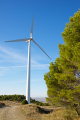 Fototapeta premium Sustainable wind energy concept