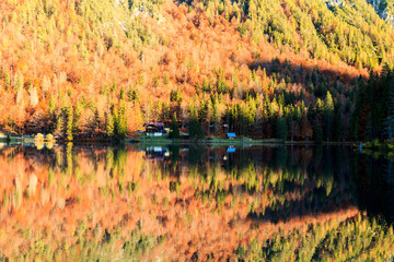Colorful autumn foliage at the alpine lake