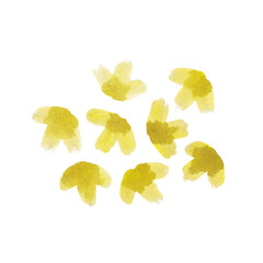 Naklejka premium A set of eight watercolor strokes in the form of seeds, the letter T. High resolution picture 3000 * 3000 pixels