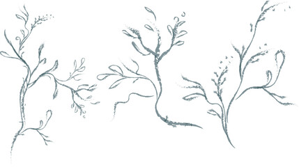 Set  3 Hand drawn wedding herb, plant and dry tree branch. Botanical rustic trendy greenery vector illustration.