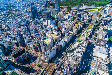 東京・渋谷の風景（スクランブル交差点、宮下公園） ~ A bird's-eye view of the city of Shibuya, one of Tokyo's most popular tourist destinations ~