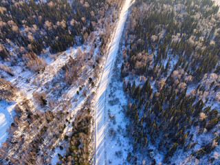 Winter forest road in the Siberian city of Tomsk