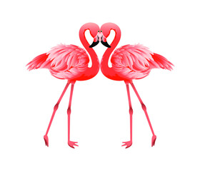 Beautiful elegant pink flamingos set. Flamingo character animal exotic nature wild fauna illustration doodle