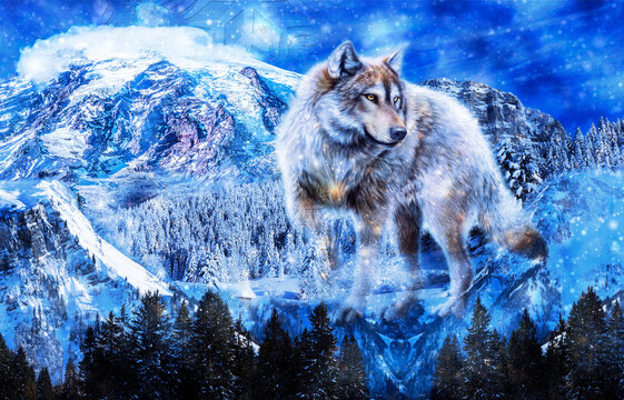 Wolf mountains blue snow landscape