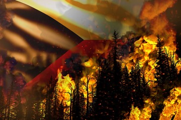 Forest fire natural disaster concept - heavy fire in the trees on Czechia flag background - 3D illustration of nature