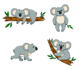 set of cartoon animals koala