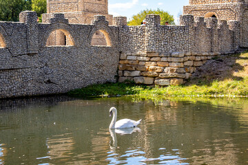 
lovely white swans floating in the pond near the castle - obrazy, fototapety, plakaty