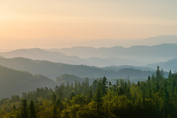 Fototapeta premium Gorce o świcie, widok ze szczytu Magurki, szczyty w porannych mgłach