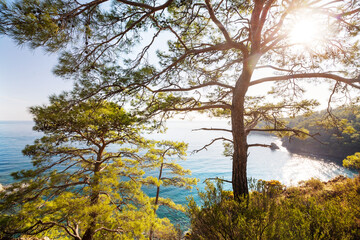 Fototapeta premium Turkey coast