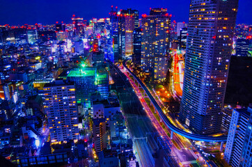 Fototapeta na wymiar Tokyo Night View