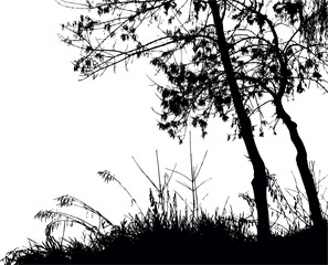 Silhouette of trees by the lake. Vector drawing