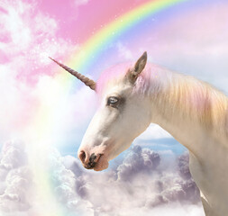 Magic unicorn in beautiful sky with rainbow and fluffy clouds. Fantasy world © New Africa