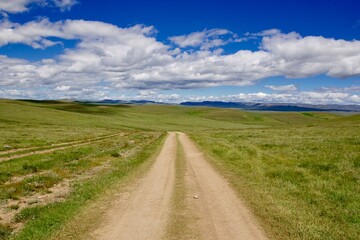 Fototapeta na wymiar Dirty road in the green steppa of Mongolia 