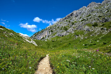 Sentiero nelle Dolomiti, ai piedi del monte Civetta. Patrimonio Unesco