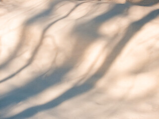 Shadows  in the snow 17