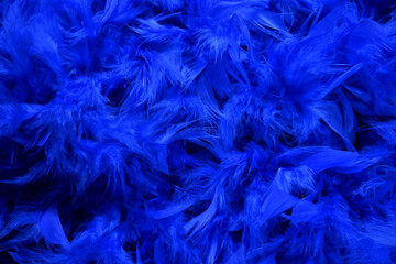 
Blue feathers. 
Blue feathers in soft and blur style for background.