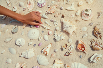 Female hand with collection of seashells.