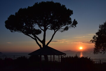 Fototapeta na wymiar tramonto alberi silhouette