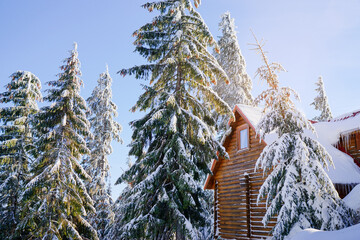 Beautiful white winter wonderland mountain scenery in the Carpathian with traditional wooden house...