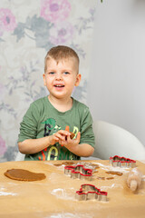 A happy young boy is preparing for gingerbread baking.
