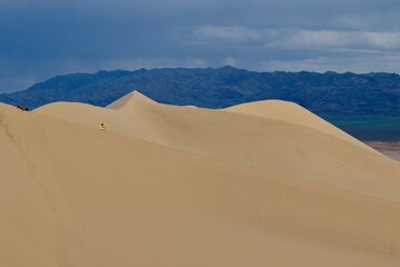 Fototapeta na wymiar sand dunes in Gobi desert, Mongolia 