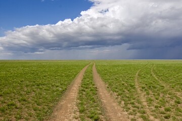 Fototapeta na wymiar landscape with typical Mongolian dirty road
