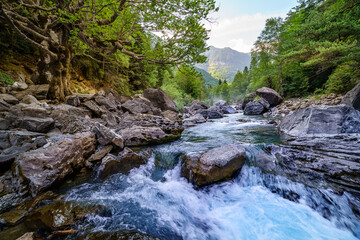 Fototapeta premium Forest landscape with fast and clean river, big trees and rocks. Pyrenees, Ordesa. Rest and nature excursion 