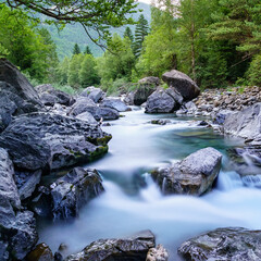 Naklejka na ściany i meble Landscape with river and forest with green trees. Silky crystal water and long exposure. Ordesa Pyrenees. 