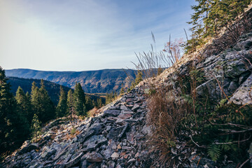 A canyon with a mountain in the background