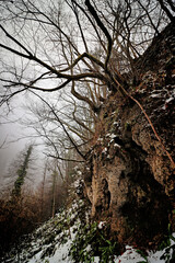First Snow at Fairy Cave