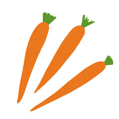 carrots on white background raster illustration with pencil texture