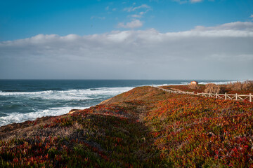 Fototapeta na wymiar Picturesque rock ocean shore, Portugal.