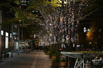 2020年の東京の夜景　クリスマスの時期の丸の内のイルミネーション風景