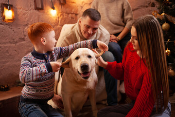 A happy family of four and a dog celebrate the New Year. Dad, mom, son and daughter love the dog...