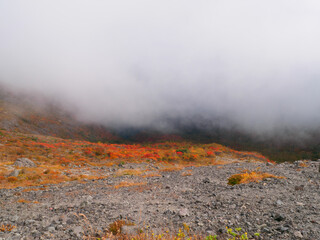 Thick fog in autumnal mountain (Tochigi, Japan)